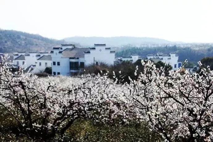 面对冷暴力该怎么办?-专业问答交流平台